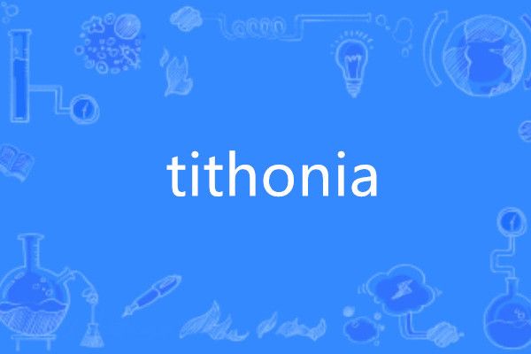 tithonia tithonia