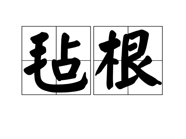 氈根 氈根