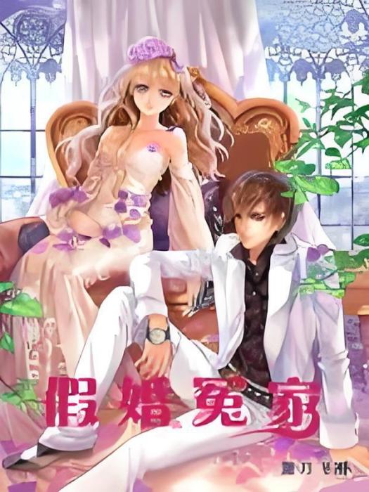 假婚冤家 假婚冤家
