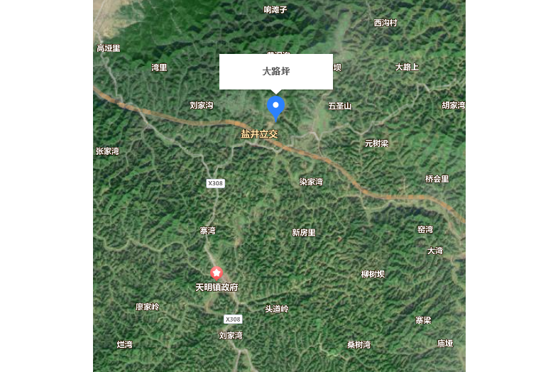 大路坪村(陝西省城固縣天明鎮轄行政村) 大路坪村(陝西省城固縣天明鎮轄行政村)