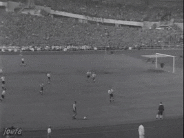 1958年瑞典世界盃(瑞典世界盃)