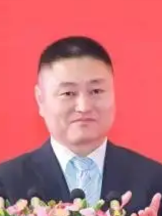 陳超(中國龍工執行董事,副總裁) 陳超(中國龍工執行董事,副總裁)