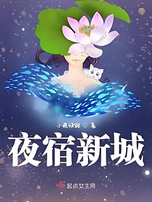 夜宿新城 夜宿新城