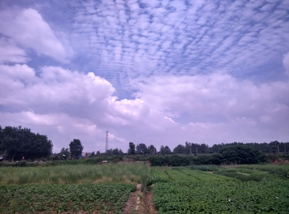 沙凹灣