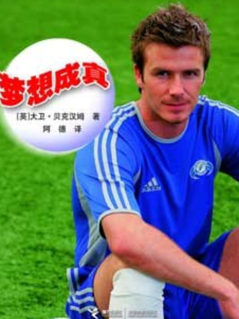 夢想成真(2007年接力出版社出版的圖書) 夢想成真(2007年接力出版社出版的圖書)