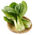 青菜(油菜(青菜的別稱)) 青菜(油菜(青菜的別稱))