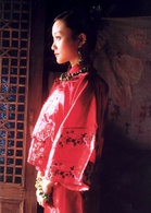 我心飛翔(陳道明、李小璐主演電影)