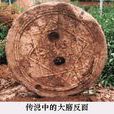 滾磨成親 滾磨成親