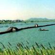 避塘橋 避塘橋