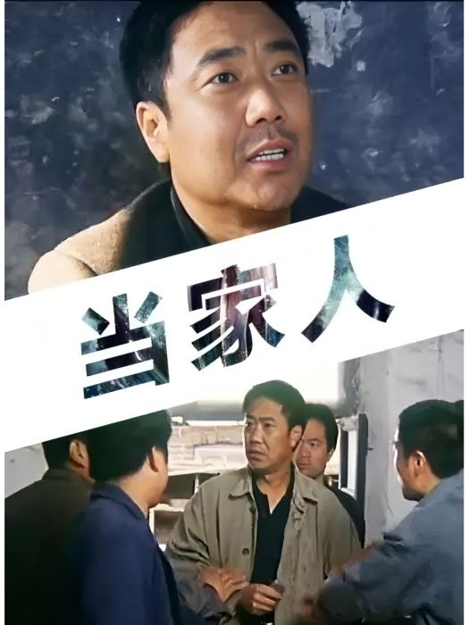 當家人(2006年上映的中國電影) 當家人(2006年上映的中國電影)