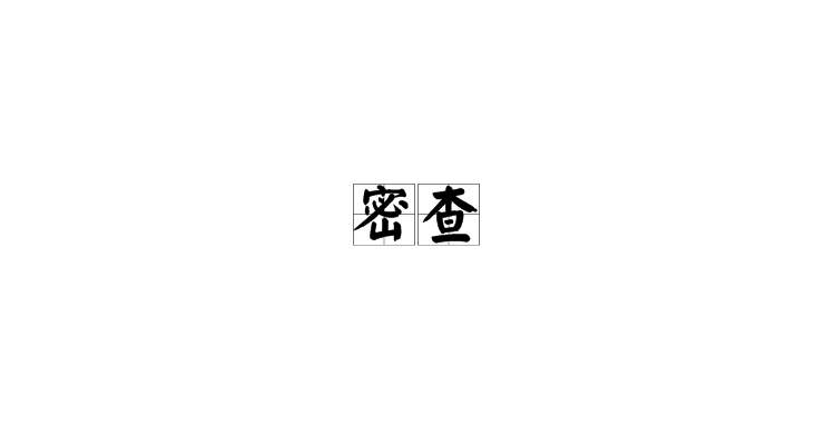 密查(漢語詞語)