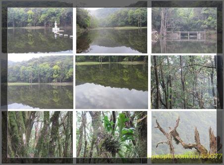 雲南寶台山國家級森林公園風景