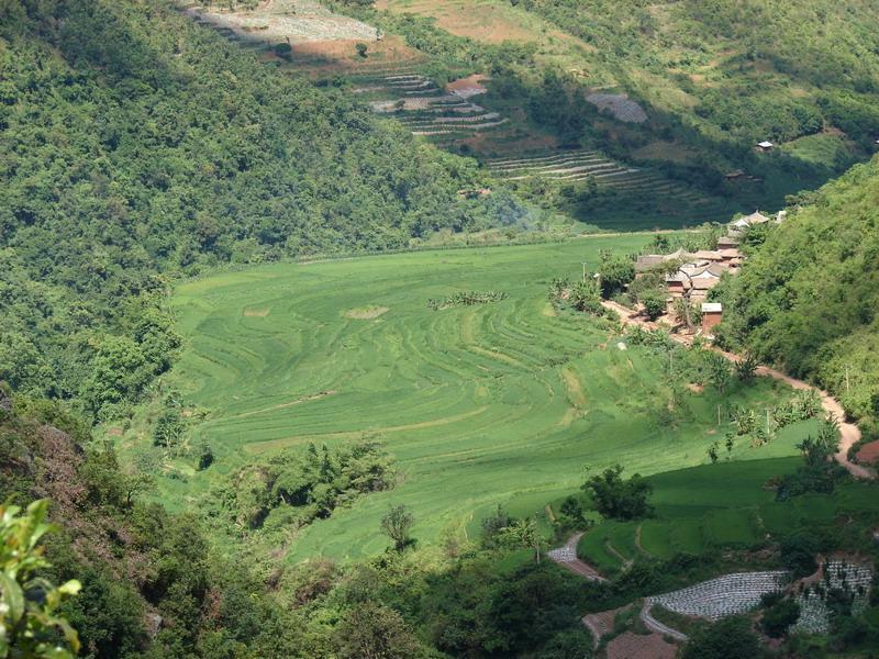 黃草坡村(雲南省紅河州石屏縣於異龍鎮下轄村) 黃草坡村(雲南省紅河州石屏縣於異龍鎮下轄村)
