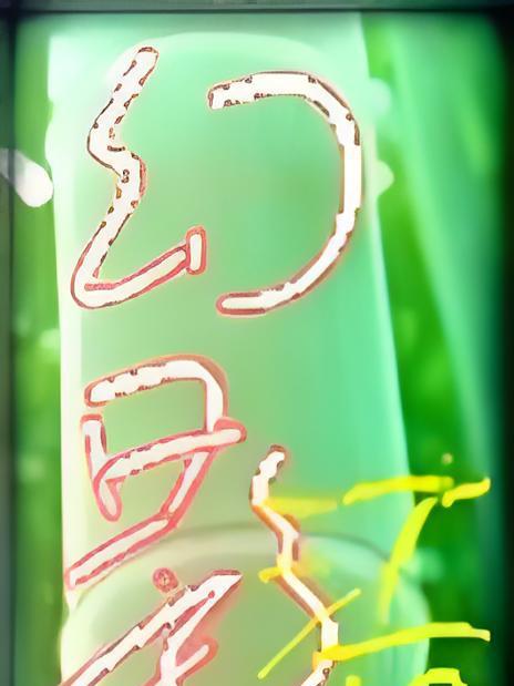 幻靈江湖 幻靈江湖