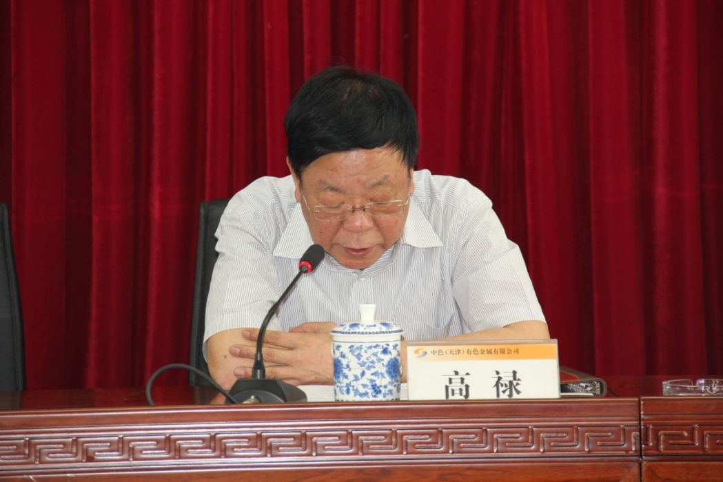 高祿(中國有色礦業集團有限公司所屬中色(天津)有色金屬有限公司原黨委書記) 高祿(中國有色礦業集團有限公司所屬中色(天津)有色金屬有限公司原黨委書記)