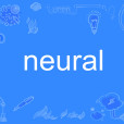 neural neural