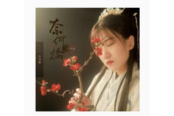 奈何橋(王梓鈺演唱的歌曲) 奈何橋(王梓鈺演唱的歌曲)