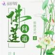 佛蓮問道 佛蓮問道