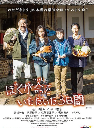平祐奈 平祐奈