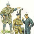 野戰師 野戰師