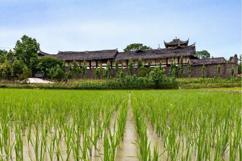 中壩鐘氏莊園(鐘氏莊園) 中壩鐘氏莊園(鐘氏莊園)