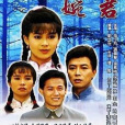 婉君(1990年俞小凡、金銘主演瓊瑤劇) 婉君(1990年俞小凡、金銘主演瓊瑤劇)