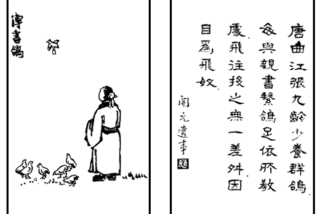 傳書鴿(豐子愷《護生畫集》中的文章) 傳書鴿(豐子愷《護生畫集》中的文章)