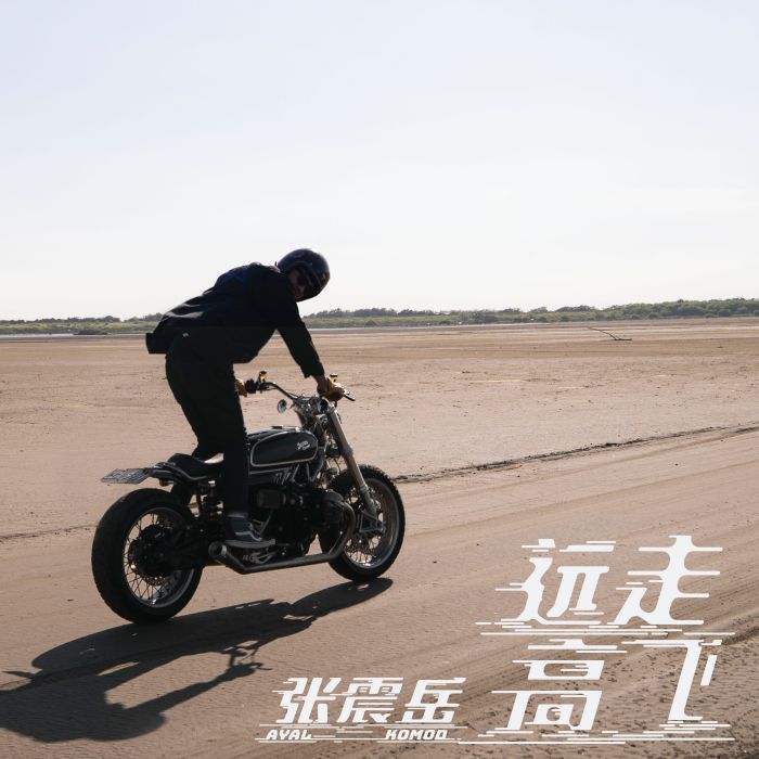 念念不忘(2019年張震岳演唱歌曲) 念念不忘(2019年張震岳演唱歌曲)