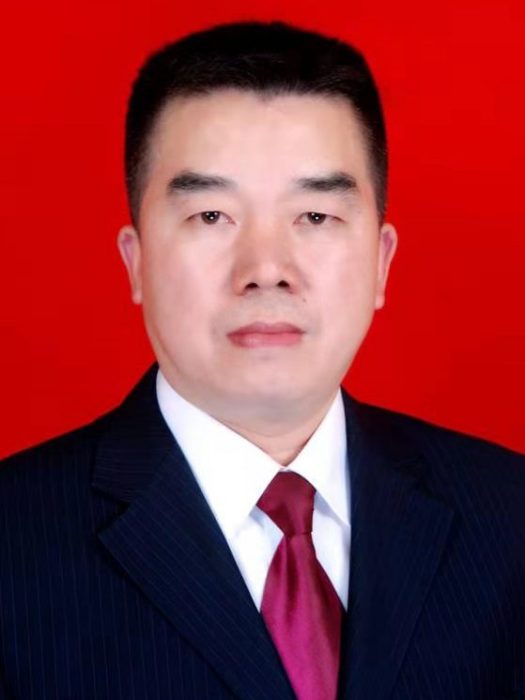 周鋒(安康市漢濱區委員會副主席) 周鋒(安康市漢濱區委員會副主席)