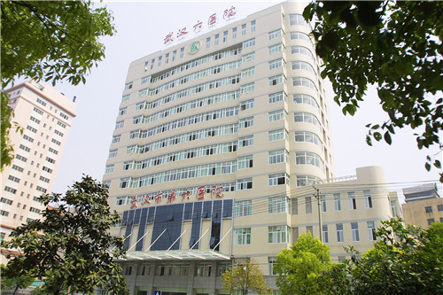 武漢市第六醫院