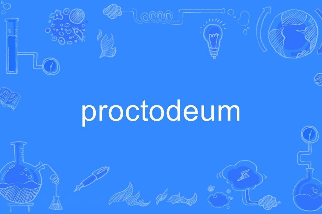 proctodeum proctodeum