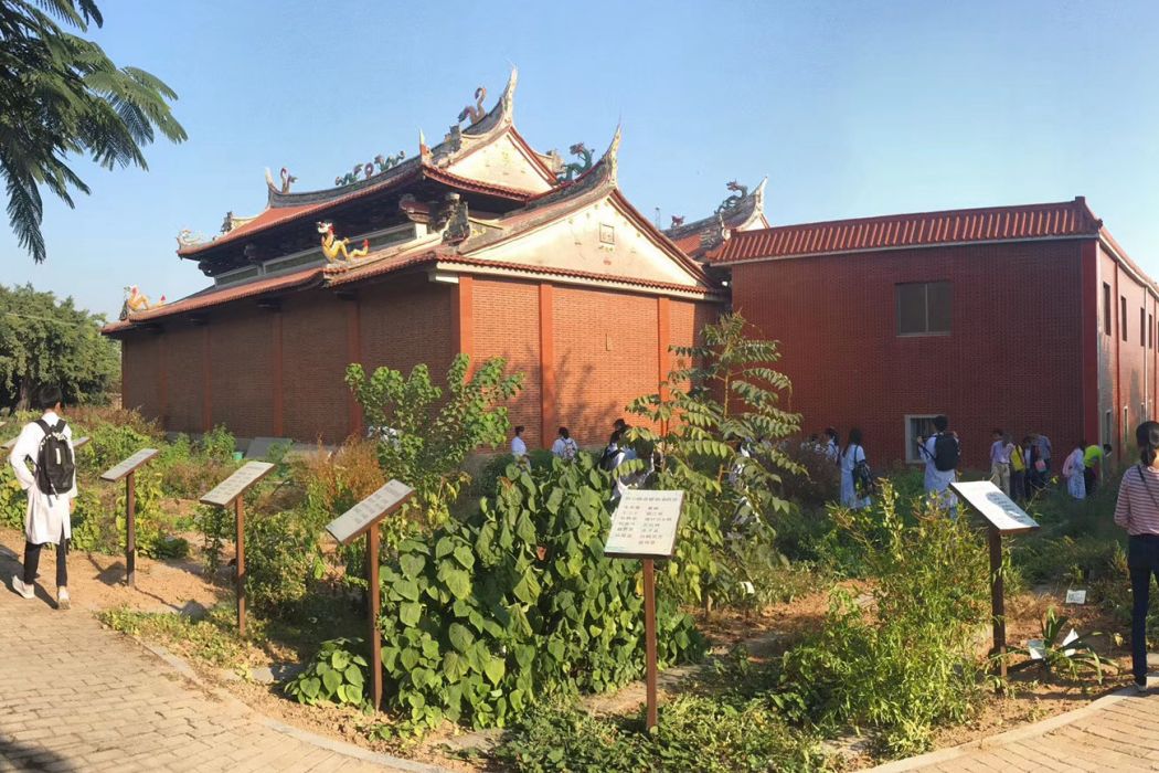 閩台青草藥 閩台青草藥