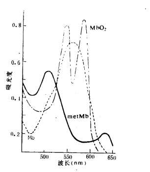 圖2 肌紅蛋白衍生物吸收光譜