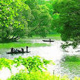 皇明湖(長子縣碾張鄉關村風景區) 皇明湖(長子縣碾張鄉關村風景區)