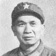 王海清(解放軍少將)