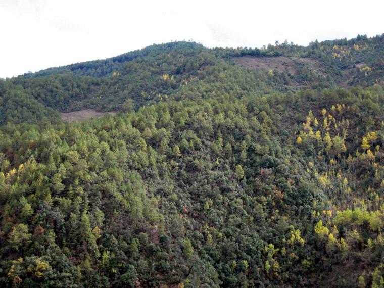 大邑那村 大邑那村