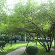廈門東溪公園 廈門東溪公園