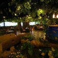 熱帶雨林餐廳