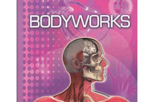 interactive explorer: bodyworks interactive explorer: bodyworks