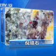 倪培石 倪培石