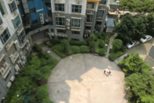 金科園 金科園
