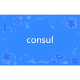 consul consul