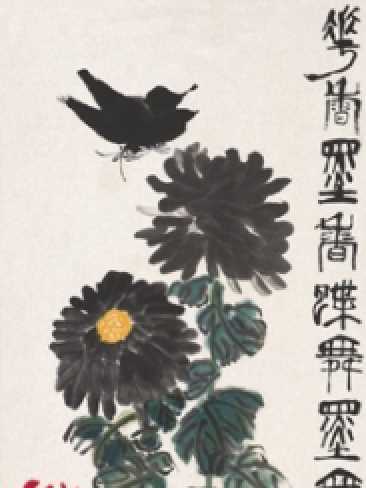 菊花蝴蝶 菊花蝴蝶