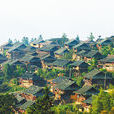 岜沙村 岜沙村