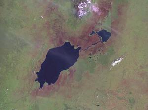 愛德華湖的衛星照片
