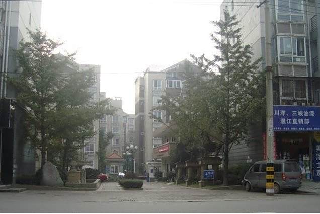 柳岸陽光 柳岸陽光