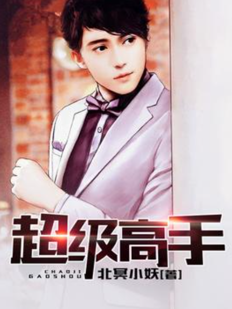 超級高手(北冥小妖所著小說) 超級高手(北冥小妖所著小說)
