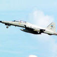 F5-E型戰鬥機 F5-E型戰鬥機