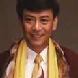 獅子山下(羅文演唱專輯) 獅子山下(羅文演唱專輯)