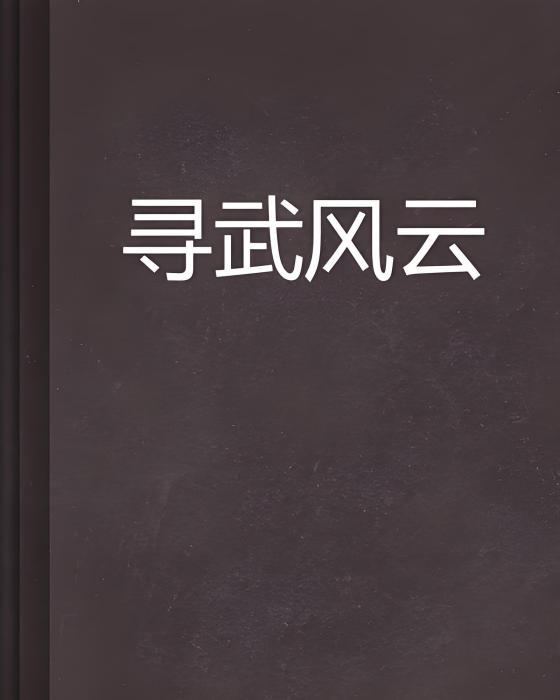 尋武風雲 尋武風雲